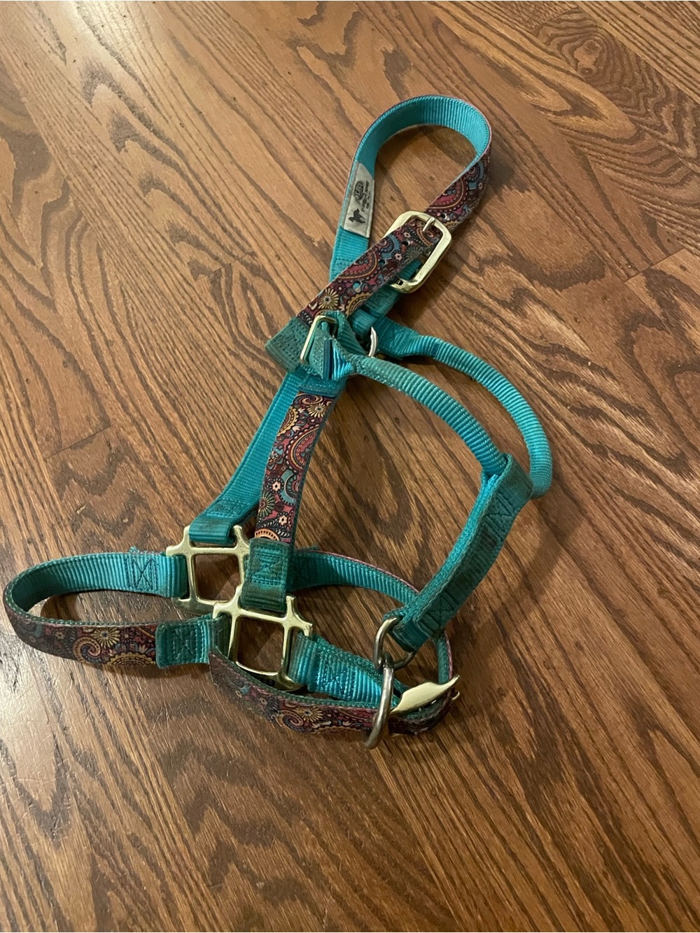 Teal Weaver Halter